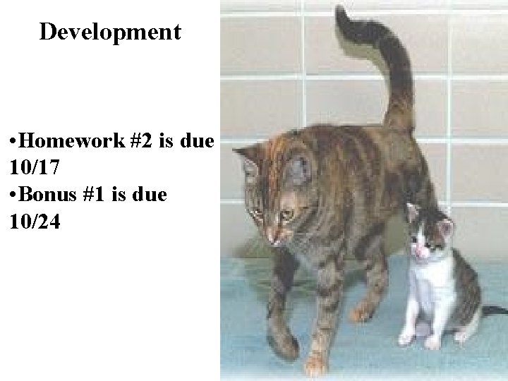 Development • Homework #2 is due 10/17 • Bonus #1 is due 10/24 