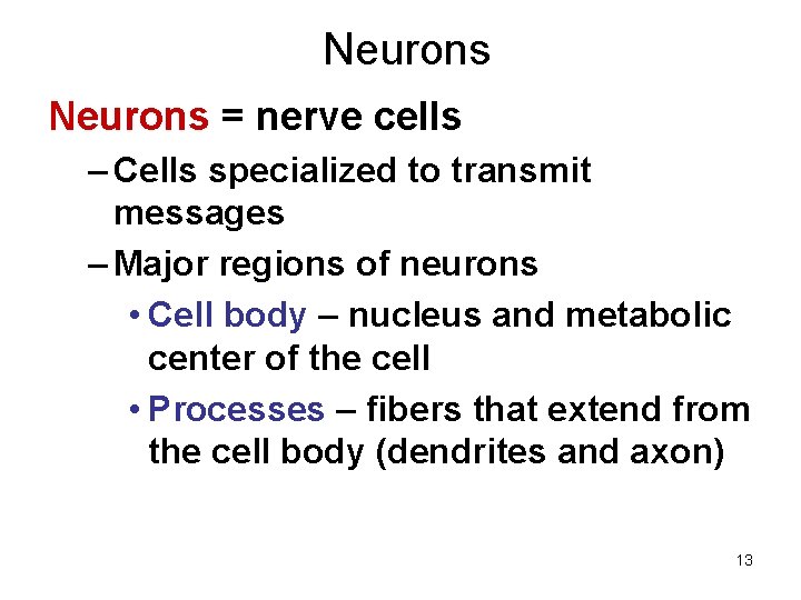 Neurons = nerve cells – Cells specialized to transmit messages – Major regions of