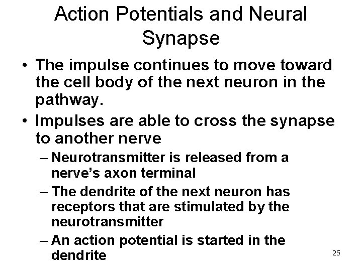 Action Potentials and Neural Synapse • The impulse continues to move toward the cell