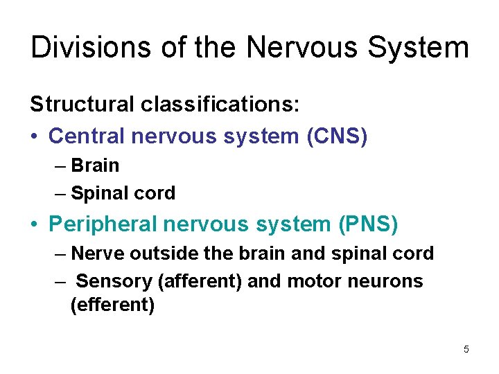 Divisions of the Nervous System Structural classifications: • Central nervous system (CNS) – Brain