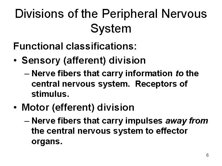 Divisions of the Peripheral Nervous System Functional classifications: • Sensory (afferent) division – Nerve