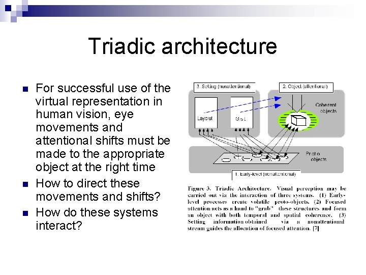 Triadic architecture n n n For successful use of the virtual representation in human