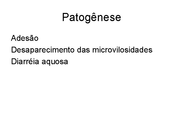 Patogênese Adesão Desaparecimento das microvilosidades Diarréia aquosa 