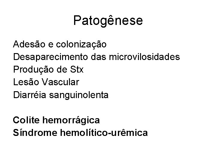 Patogênese Adesão e colonização Desaparecimento das microvilosidades Produção de Stx Lesão Vascular Diarréia sanguinolenta