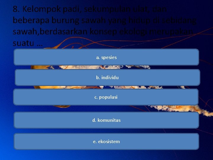 8. Kelompok padi, sekumpulan ulat, dan beberapa burung sawah yang hidup di sebidang sawah,