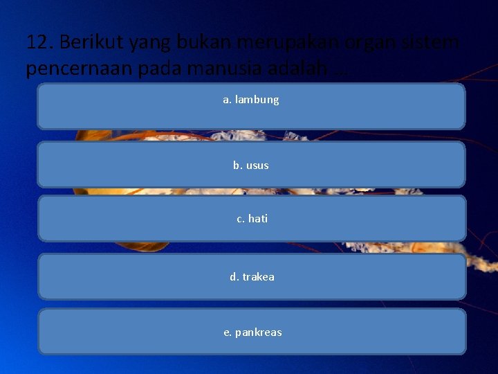 12. Berikut yang bukan merupakan organ sistem pencernaan pada manusia adalah … a. lambung