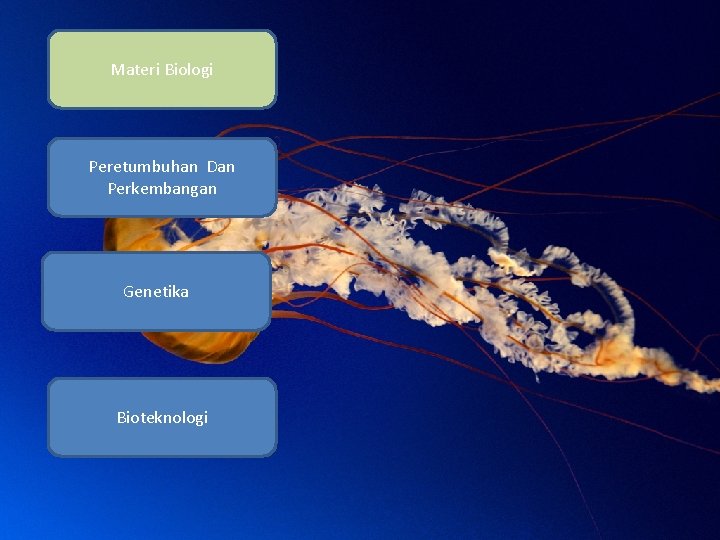 Materi Biologi Peretumbuhan Dan Perkembangan Genetika Bioteknologi 