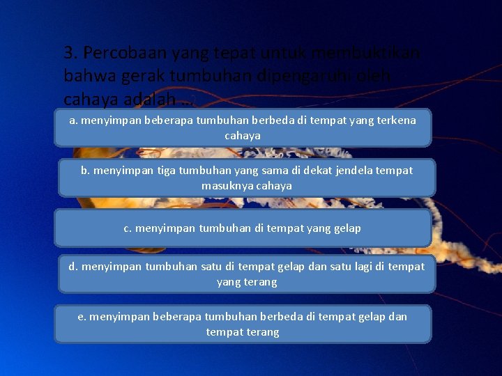 3. Percobaan yang tepat untuk membuktikan bahwa gerak tumbuhan dipengaruhi oleh cahaya adalah …