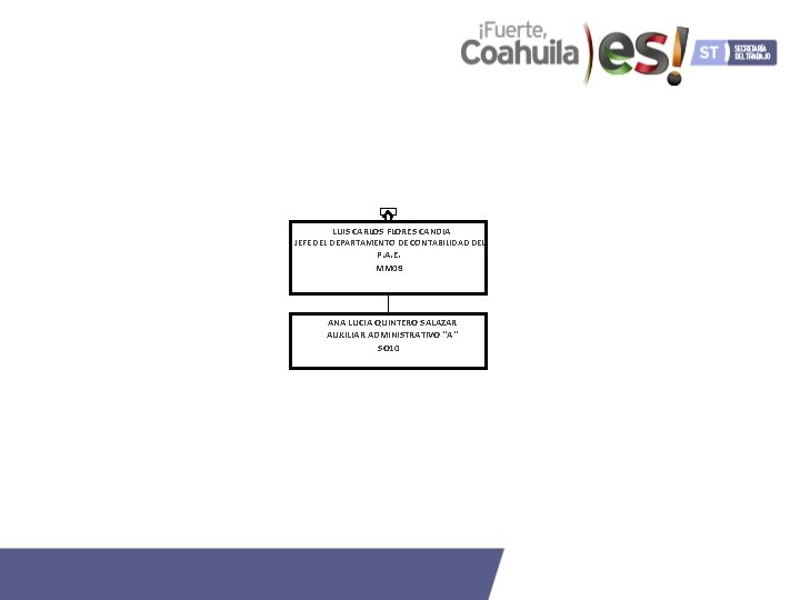 LUIS CARLOS FLORES CANDIA JEFE DEL DEPARTAMENTO DE CONTABILIDAD DEL P. A. E. MM