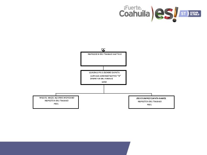 INSPECCION DEL TRABAJO SALTILLO GUADALUPE ELIZONDO ZAPATA AUXILIAR ADMINISTRATIVO "B“ (INSPECTOR DEL TRABAJO) SO