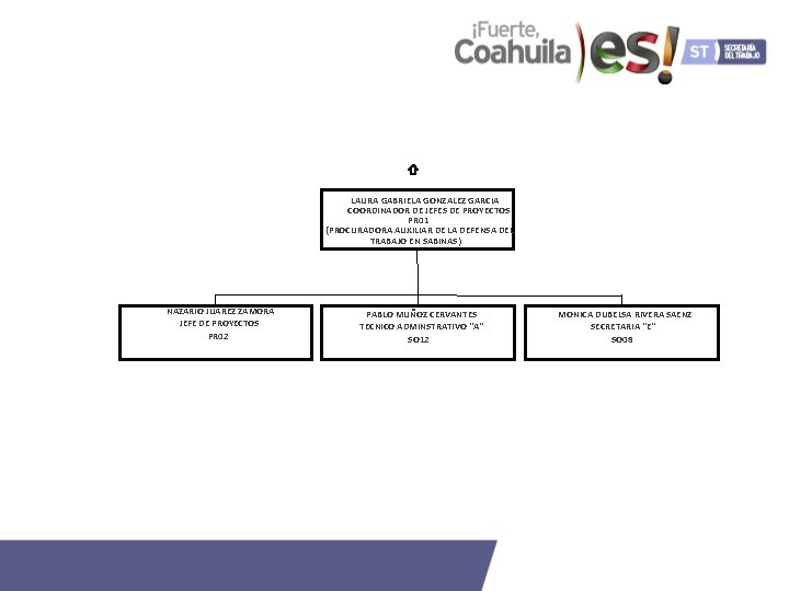 LAURA GABRIELA GONZALEZ GARCIA COORDINADOR DE JEFES DE PROYECTOS PR 01 (PROCURADORA AUXILIAR DE