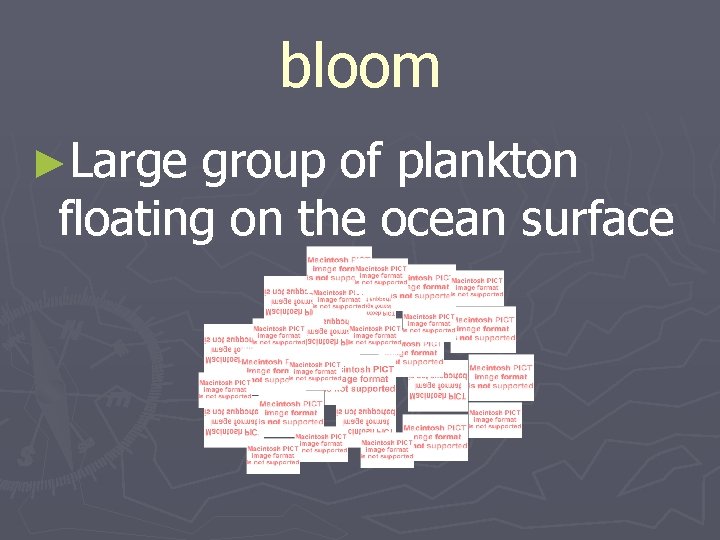 bloom ►Large group of plankton floating on the ocean surface 