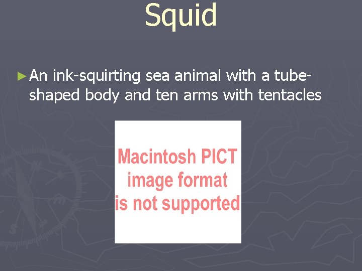 Squid ► An ink-squirting sea animal with a tubeshaped body and ten arms with