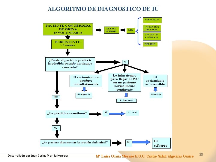 ALGORITMO DE DIAGNOSTICO DE IU Desarrollado por Juan Carlos Morilla Herrera Mª Luisa Ocaña