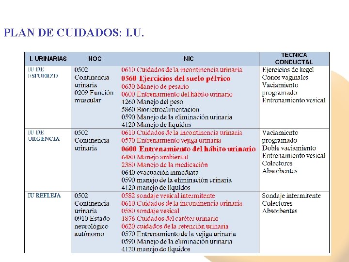 PLAN DE CUIDADOS: I. U. 55 