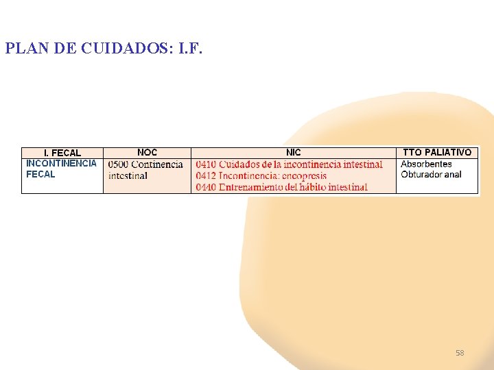 PLAN DE CUIDADOS: I. F. 58 