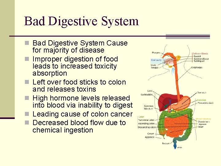 Bad Digestive System n Bad Digestive System Cause n n n for majority of