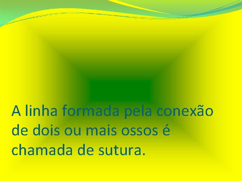 A linha formada pela conexão de dois ou mais ossos é chamada de sutura.