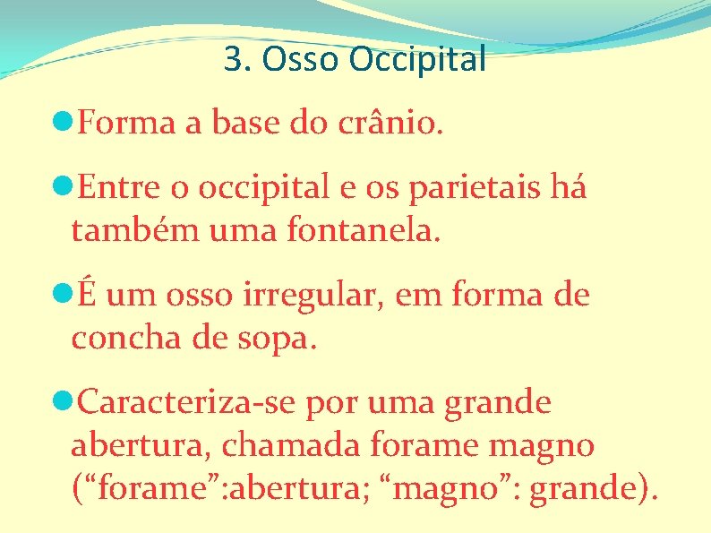 3. Osso Occipital Forma a base do crânio. Entre o occipital e os parietais