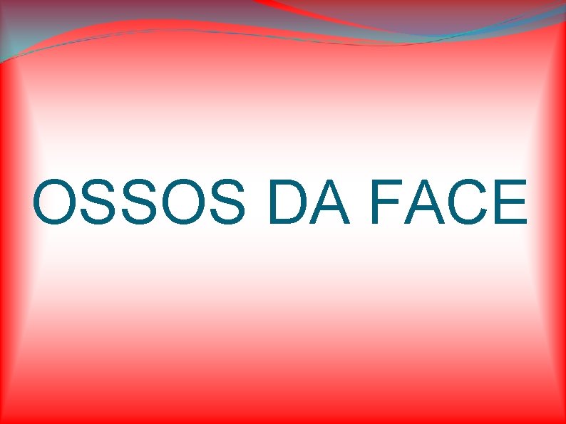 OSSOS DA FACE 