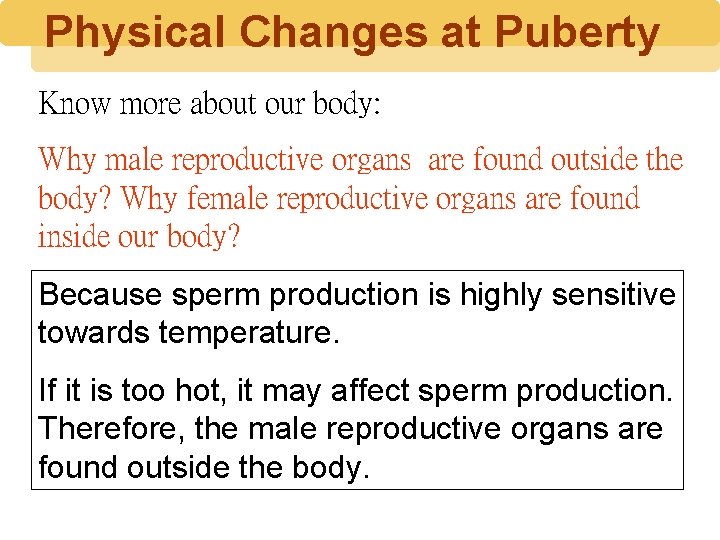 Physical Changes at Puberty Know more about our body: Why male reproductive organs are