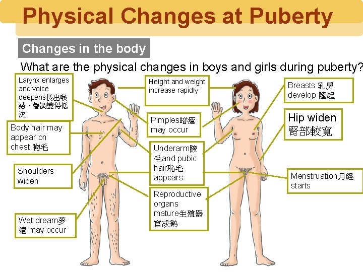 Physical Changes at Puberty Changes in the body What are the physical changes in