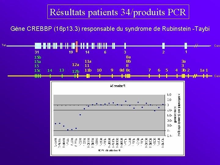Résultats patients 34/produits PCR Gène CREBBP (16 p 13. 3) responsable du syndrome de