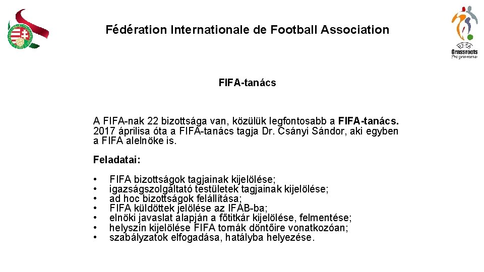 Fédération Internationale de Football Association FIFA-tanács A FIFA-nak 22 bizottsága van, közülük legfontosabb a