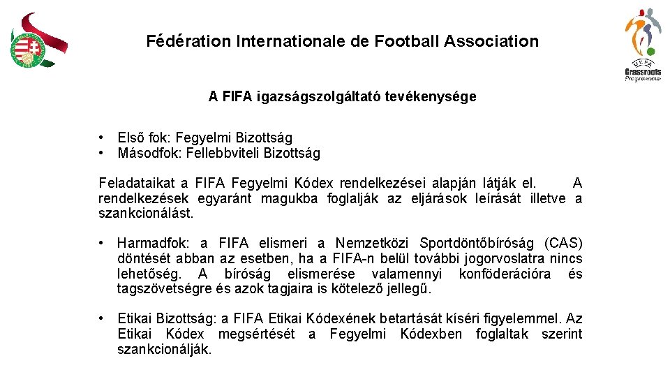Fédération Internationale de Football Association A FIFA igazságszolgáltató tevékenysége • Első fok: Fegyelmi Bizottság