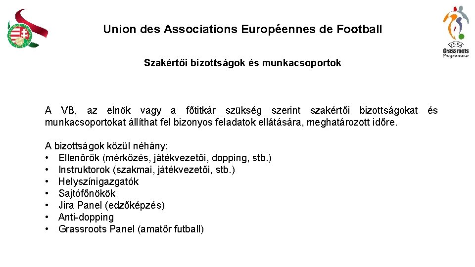 Union des Associations Européennes de Football Szakértői bizottságok és munkacsoportok A VB, az elnök