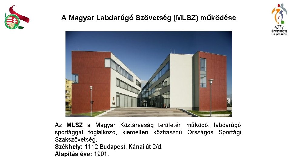 A Magyar Labdarúgó Szövetség (MLSZ) működése Az MLSZ a Magyar Köztársaság területén működő, labdarúgó