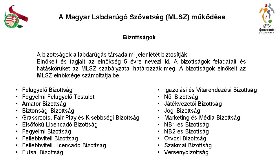 A Magyar Labdarúgó Szövetség (MLSZ) működése Bizottságok A bizottságok a labdarúgás társadalmi jelenlétét biztosítják.