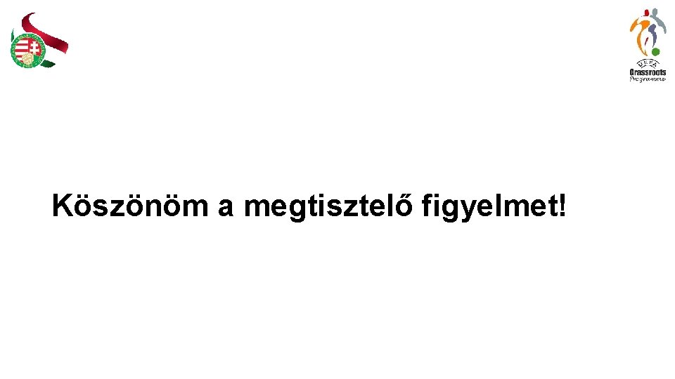 Köszönöm a megtisztelő figyelmet! 