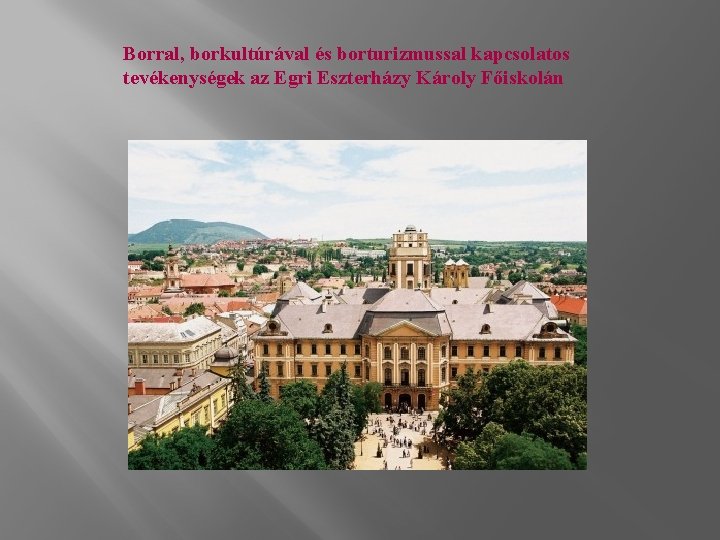 Borral, borkultúrával és borturizmussal kapcsolatos tevékenységek az Egri Eszterházy Károly Főiskolán 