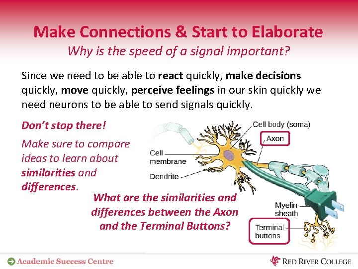 Make Connections & Start to Elaborate Why is the speed of a signal important?