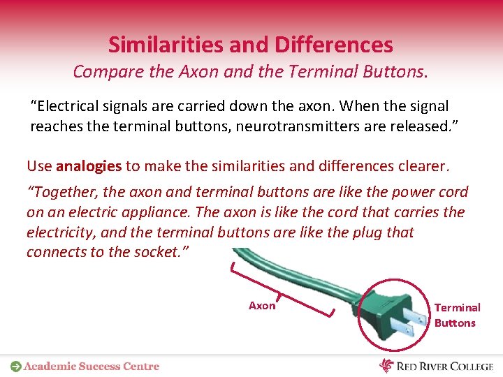 Similarities and Differences Compare the Axon and the Terminal Buttons. “Electrical signals are carried