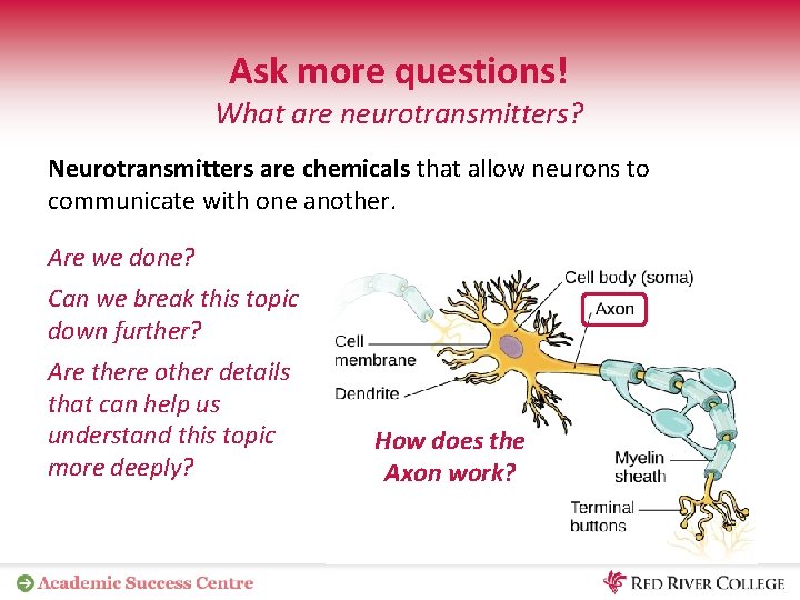 Ask more questions! What are neurotransmitters? Neurotransmitters are chemicals that allow neurons to communicate