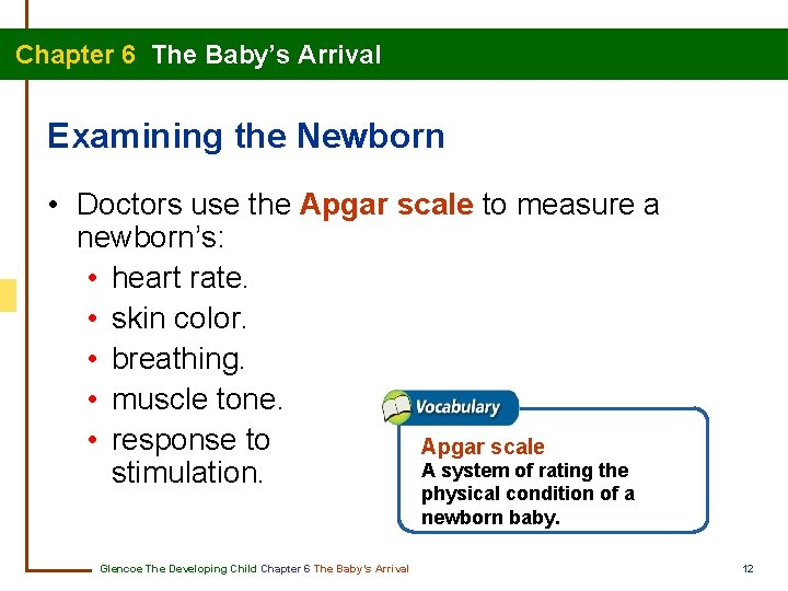 Chapter 6 The Baby’s Arrival Examining the Newborn • Doctors use the Apgar scale