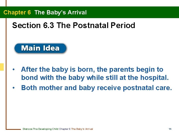 Chapter 6 The Baby’s Arrival Section 6. 3 The Postnatal Period • After the