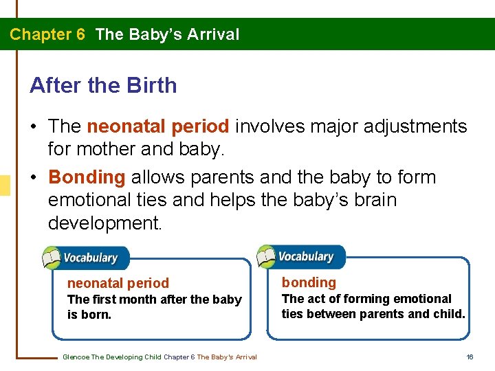 Chapter 6 The Baby’s Arrival After the Birth • The neonatal period involves major