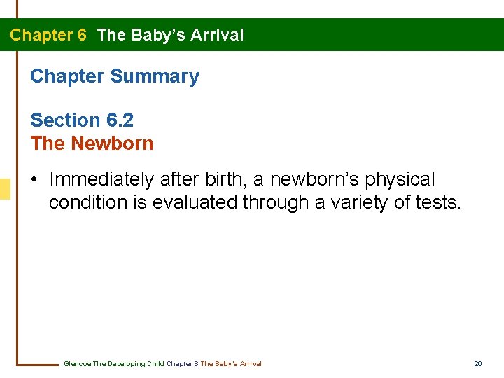 Chapter 6 The Baby’s Arrival Chapter Summary Section 6. 2 The Newborn • Immediately