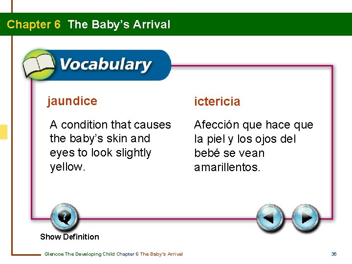 Chapter 6 The Baby’s Arrival jaundice ictericia A condition that causes the baby’s skin