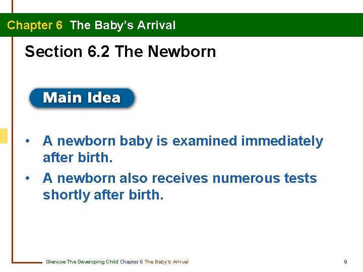 Chapter 6 The Baby’s Arrival Section 6. 2 The Newborn • A newborn baby