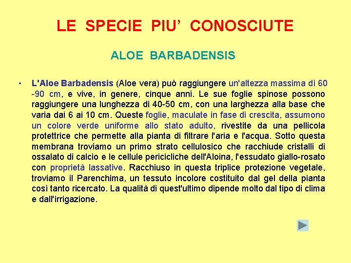 LE SPECIE PIU’ CONOSCIUTE ALOE BARBADENSIS • L'Aloe Barbadensis (Aloe vera) può raggiungere un'altezza