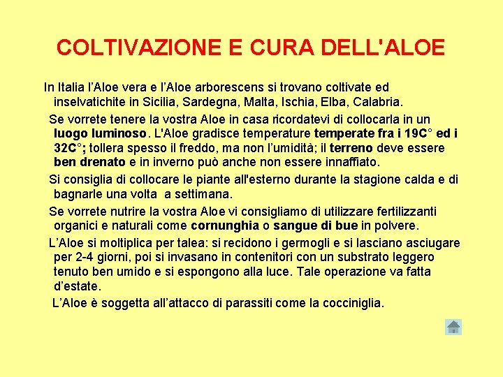 COLTIVAZIONE E CURA DELL'ALOE In Italia l’Aloe vera e l’Aloe arborescens si trovano coltivate