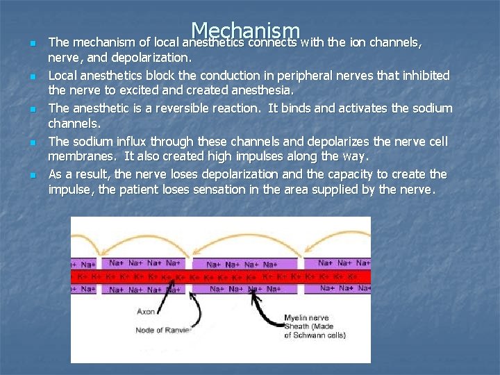 n n n Mechanism The mechanism of local anesthetics connects with the ion channels,