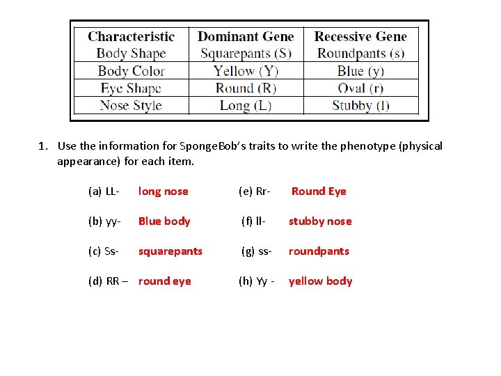 1. Use the information for Sponge. Bob’s traits to write the phenotype (physical appearance)