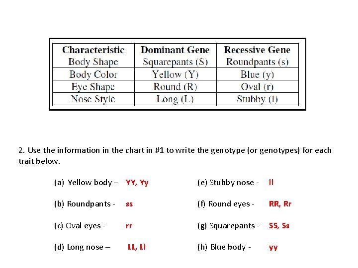 2. Use the information in the chart in #1 to write the genotype (or