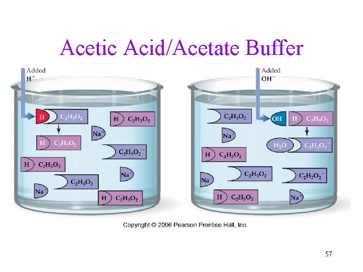 Acetic Acid/Acetate Buffer 57 