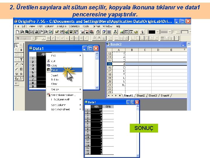 2. Üretilen sayılara ait sütun seçilir, kopyala ikonuna tıklanır ve data 1 penceresine yapıştırılır.